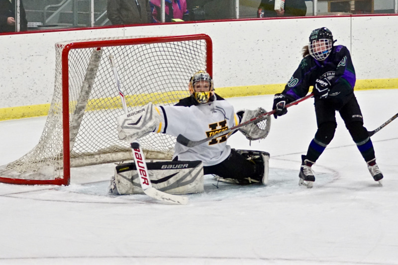 hockey game goalie blocking a shot