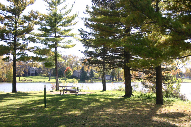 shaded camping area