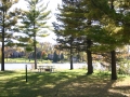 shaded camping area