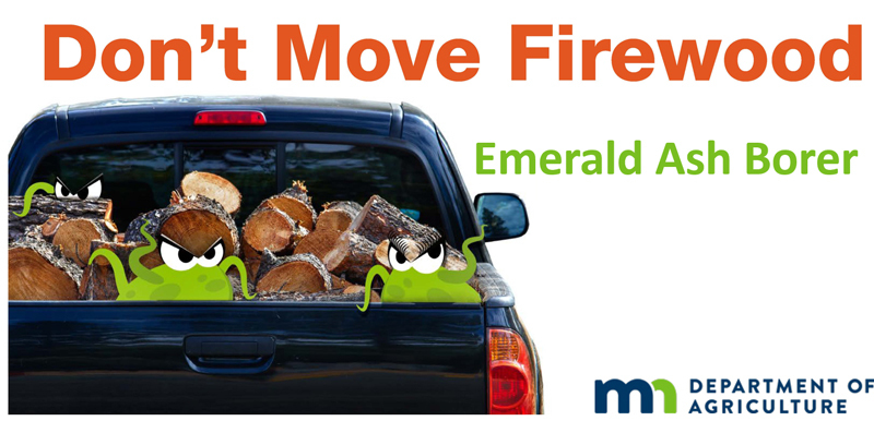 don't move firewood due to emerald ash borer
