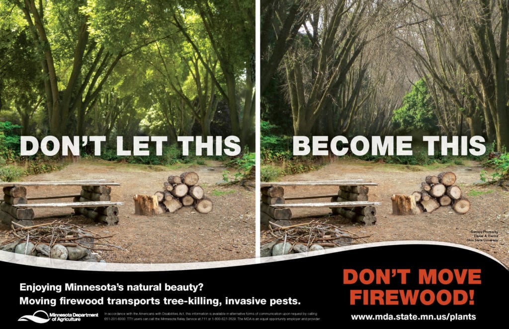 Don't Move Firewood graphic displaying what moving firewood does to parks. 